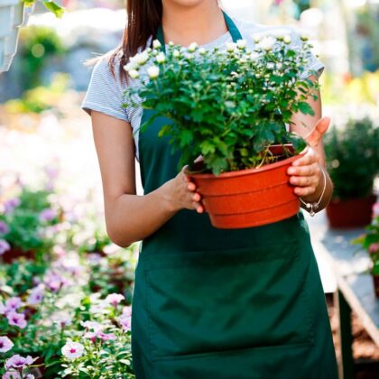Fardos de Jardineras Mixto